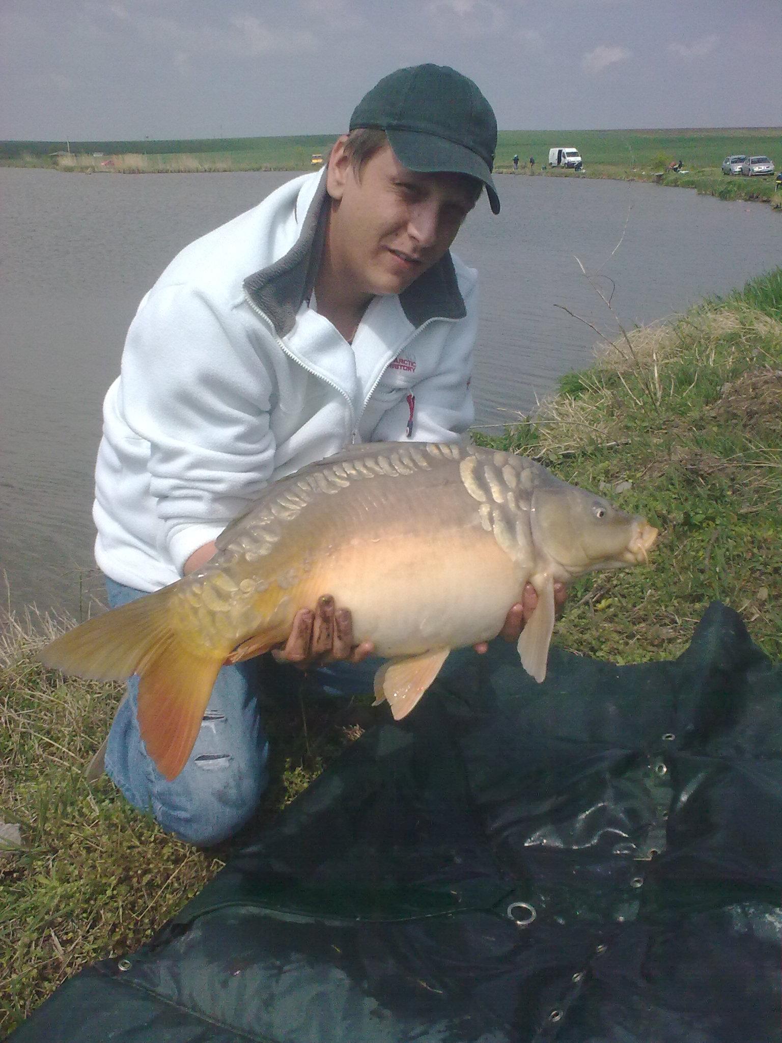 PE LANGA BUCURESTI - BENGA